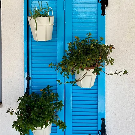 Apartment Aphrodite Center *